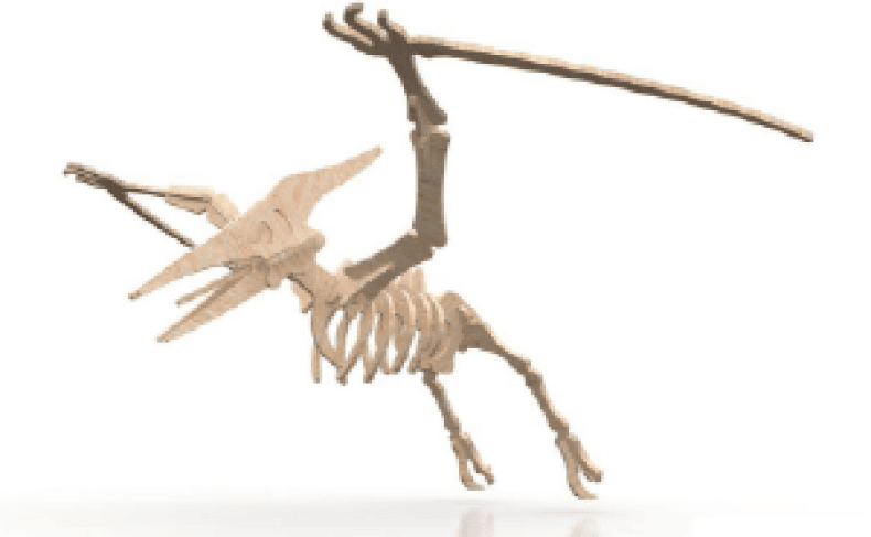 Esqueleto de Pterodáctilo
