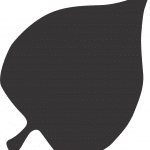 Hoja de árbol - Vector descarganle para corte CNC y grabado laser gratis | Stanser