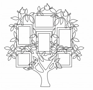 Árbol (6 fotos)