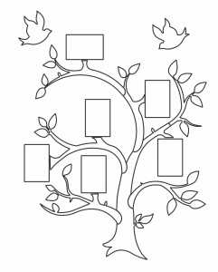Marco de árbol con aves (6 fotos)