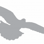 Sombra de paloma 5 - Vector descarganle para corte CNC y grabado laser gratis | Stanser