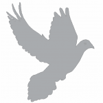 Sombra de paloma al vuelo - Vector descarganle para corte CNC y grabado laser gratis | Stanser