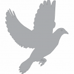 Sombra de paloma al vuelo 2 - Vector descarganle para corte CNC y grabado laser gratis | Stanser