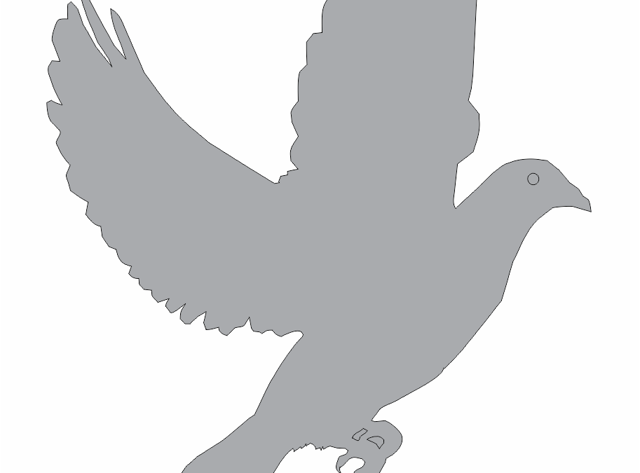 Sombra de paloma al vuelo 2