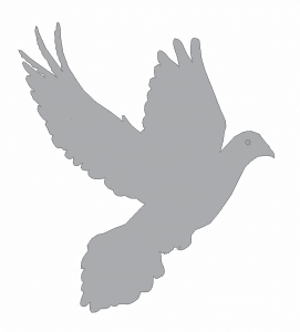 Sombra de paloma al vuelo