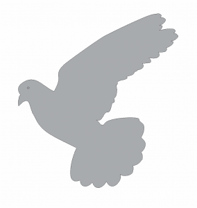 Paloma de perfil