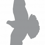 Sombra de paloma 1 - Vector descarganle para corte CNC y grabado laser gratis | Stanser