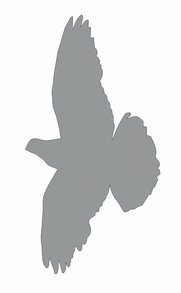 Sombra de paloma 1 — vector para corte CNC
