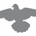 Sombra de paloma 2 - Vector descarganle para corte CNC y grabado laser gratis | Stanser