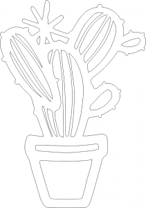 Cactus en maceta