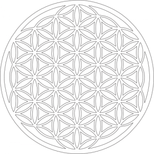 Flor de la vida