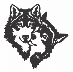Caras de perros