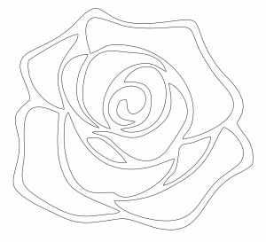 Rosa bordeada 3