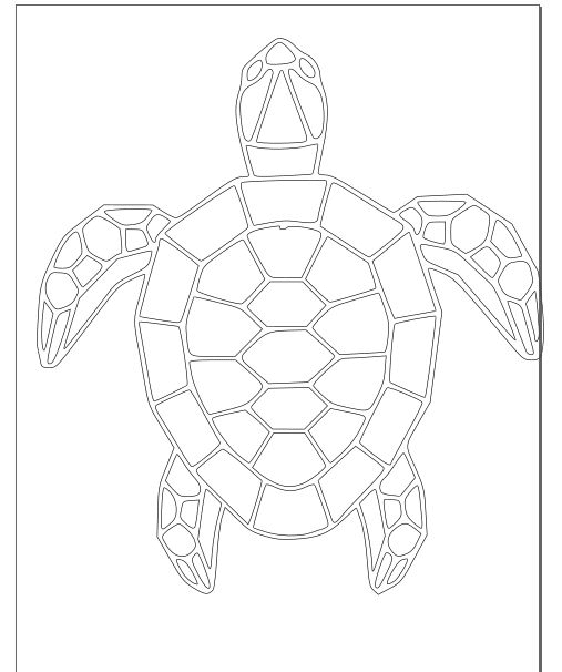 Tortuga completa