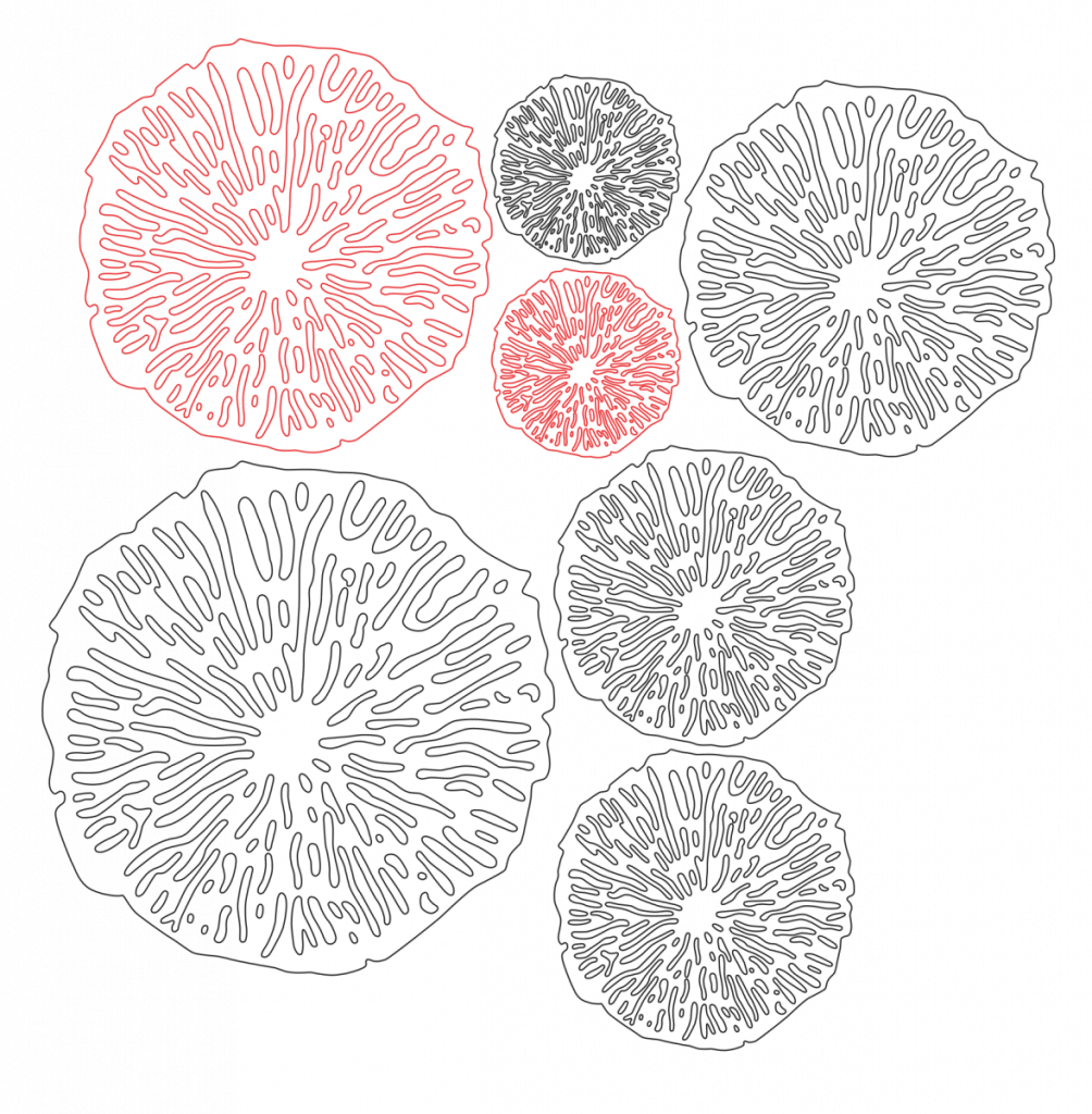 Estampa de coral — vector para corte CNC