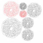 Estampa de coral - Vector descarganle para corte CNC y grabado laser gratis | Stanser