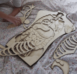 Anatomía humana