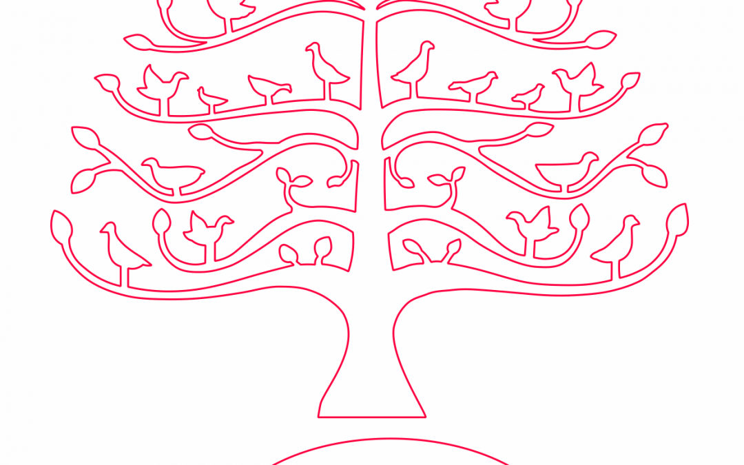 Árbol 15