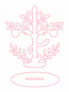 Árbol 27