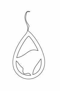 Par de aretes 68