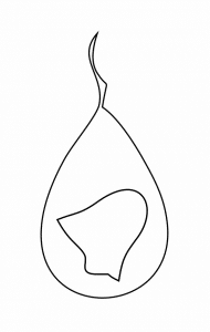 Par de aretes 71