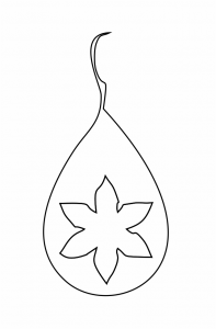 Par de aretes 74