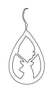 Par de aretes 78
