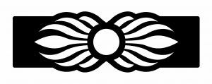 Brazalete 4