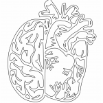 Cerebro y corazón - Vector SVG DXF para CNC Router y Laser CO2 - Descargable gratis | Stanser