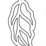Aretes con diseño de hoja 8 - Vector SVG DXF para Laser CO2 - Descargable gratis | Stanser