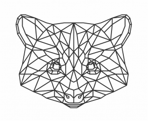 Cabeza de Mapache Geométrica