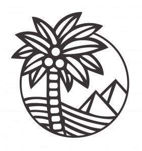 Palmera en el desierto