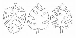 Hojas de Adán