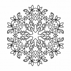 Mandala 79