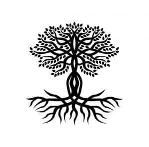 Árbol de Vida 24