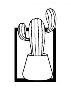 Cuadro con Cactus 14