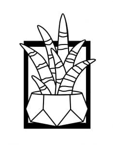 Cuadro con Cactus 15