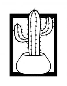 Cuadro de Cactus 16