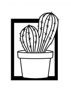 Cuadro con cactus 1