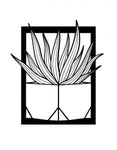 Cuadro con cactus 3