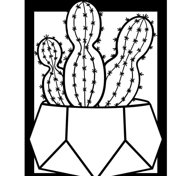 Cuadro con cactus 4
