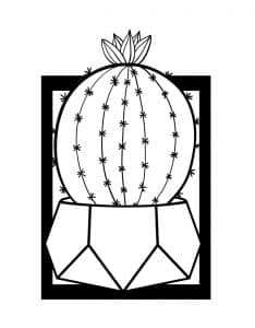 Cuadro con cactus 5