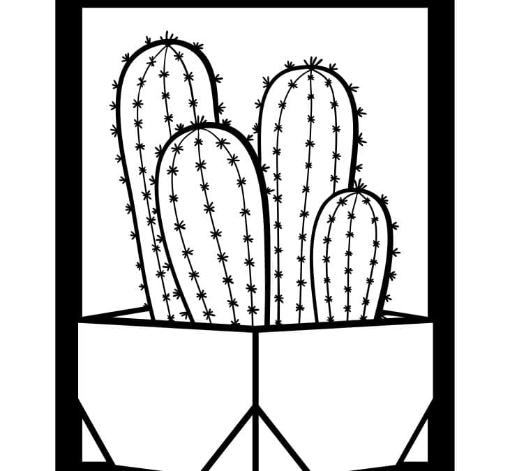 Cuadro con cactus 6