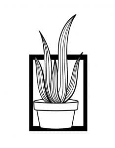 Cuadro con cactus 7
