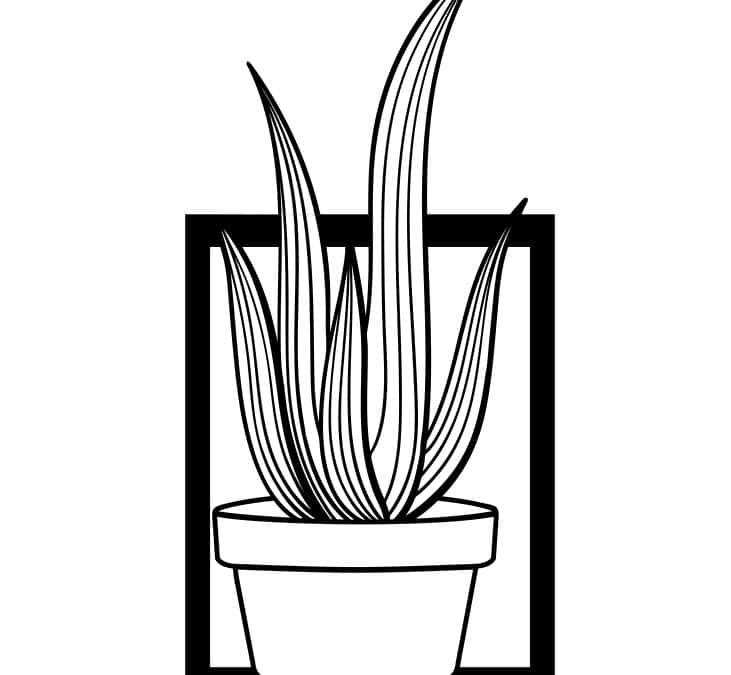 Cuadro con cactus 7