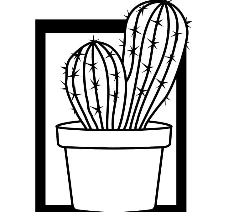 Cuadro con cactus 1