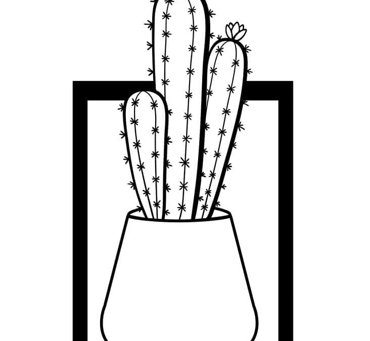 Cuadro con cactus 8