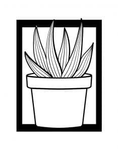 Cuadro con cactus 9