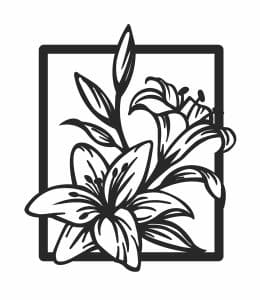 Flores «Lilis»