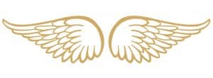Alas de ángel